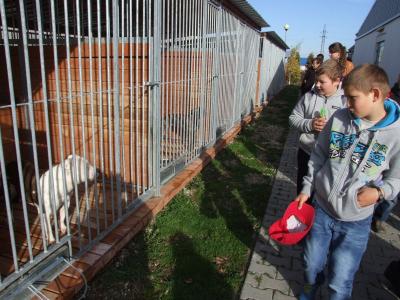 schronisko _lublin_09.jpg